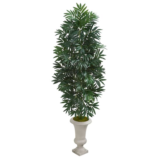 5.5ft. Bamboo Palm Plant in Urn